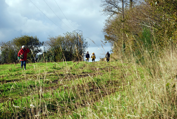 Staurotides &agrave; Coray